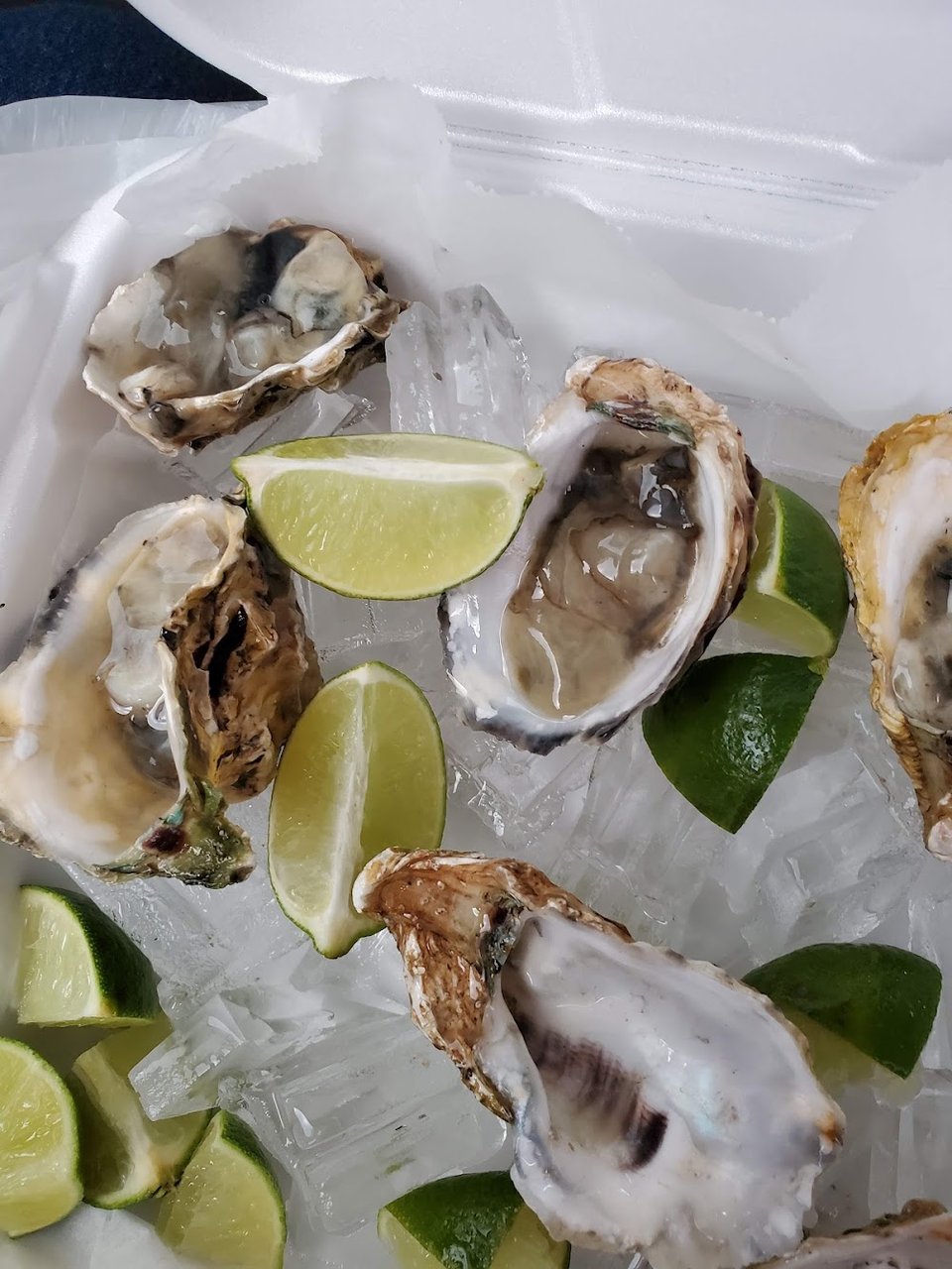 Ostiones Preparados Prepared Oysters